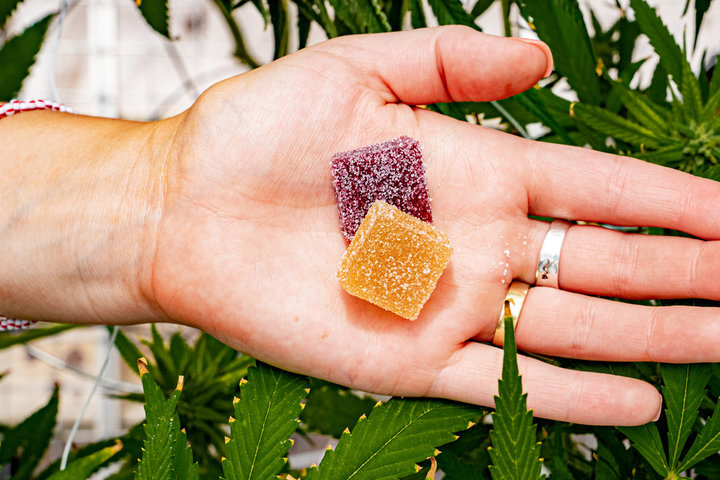 CBD EDIBLES