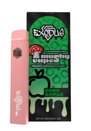 2.2G MUSHROOM VAPE DISPOSABLE