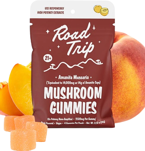 VEGAN MUSHROOM GUMMIES