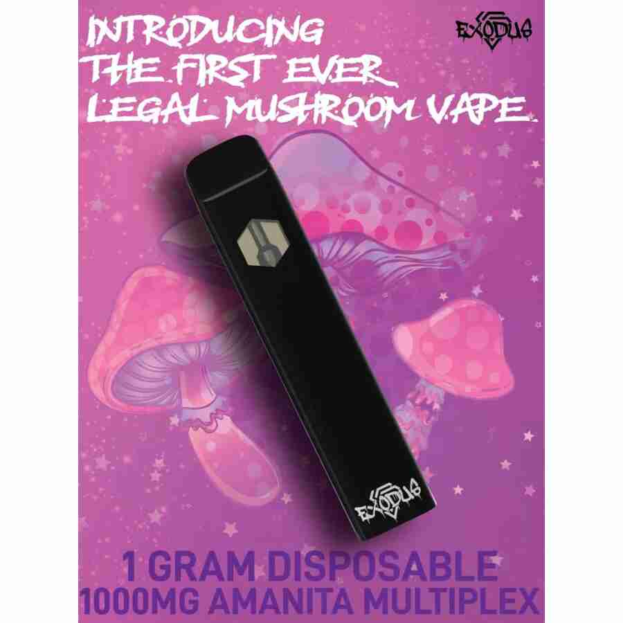 1 GRAM DISPOSABLE EXODUS