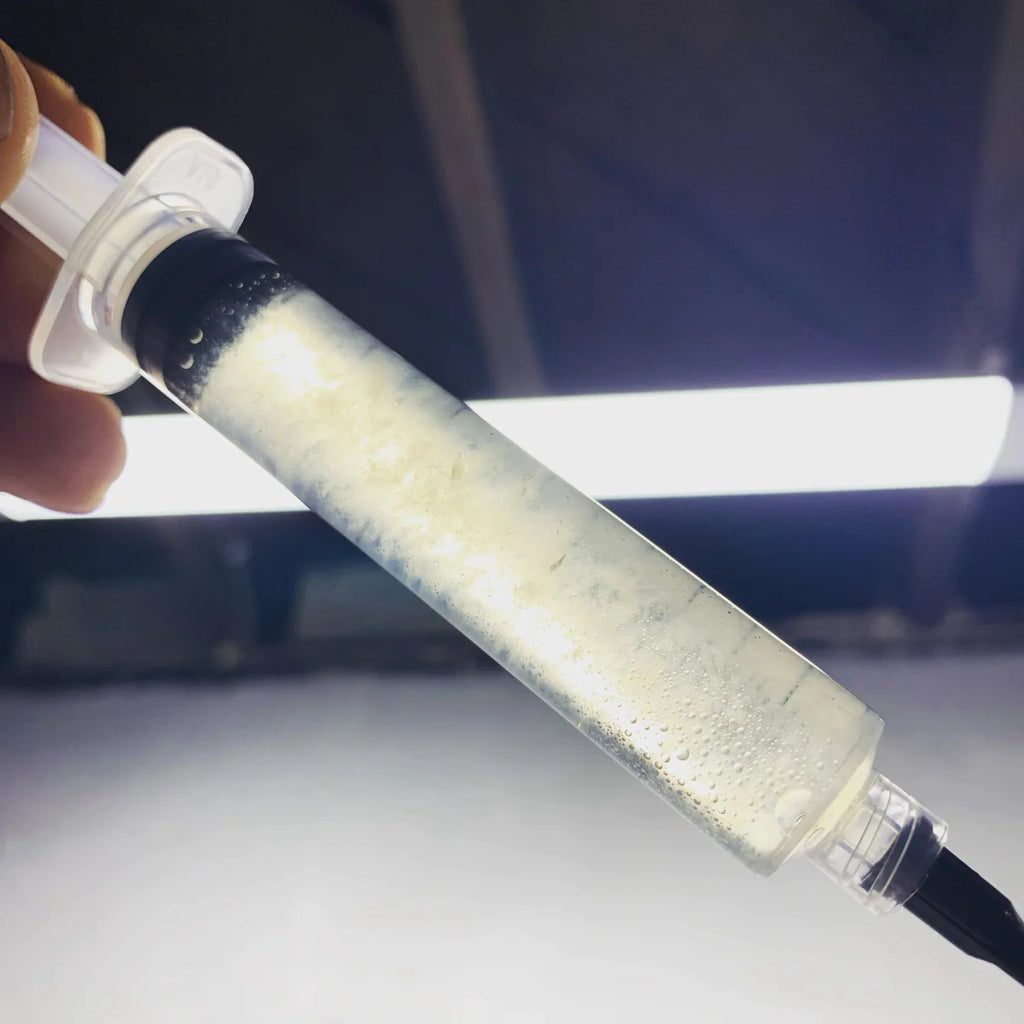Psilocybe cubensis Liquid Culture Syringe
