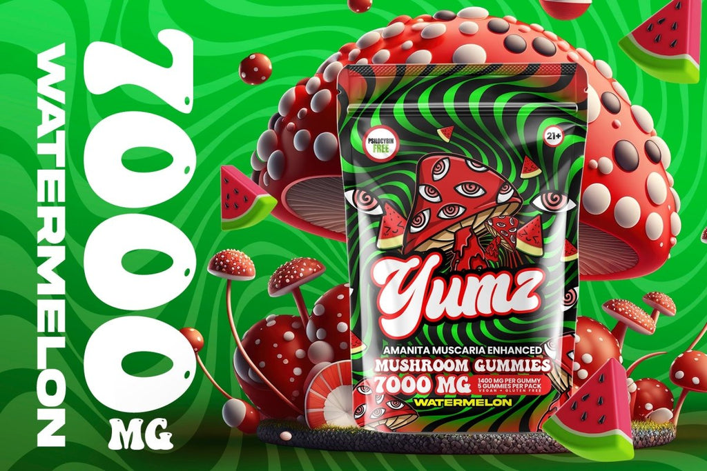 Yumz Amanita Muscaria Mushroom Gummies Watermelon